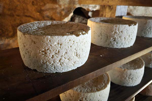 Costa de los Dinosaurios Costa de los Dinosaurios