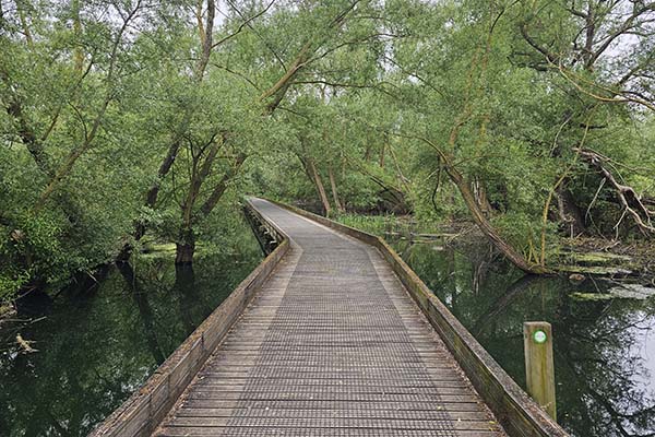 omgeving Vitoria Spanje Omgeving Vitoria Spanje