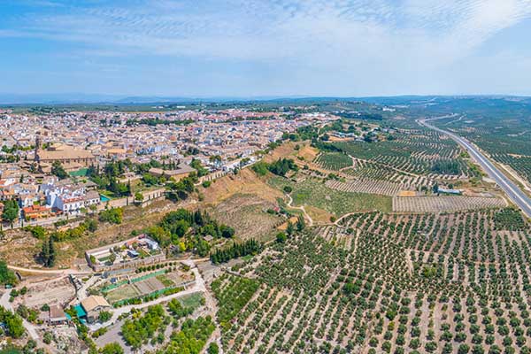 Olijfolieproeverij Jaen