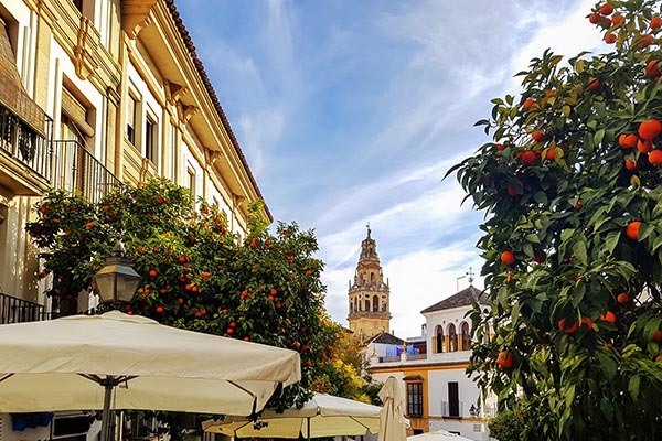 Wat doen in Sevilla Wat doen in Sevilla