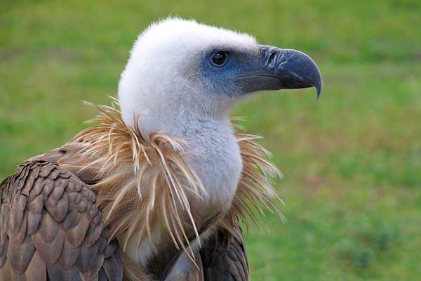 La Rioja bezienswaardigheden La Rioja bezienswaardigheden