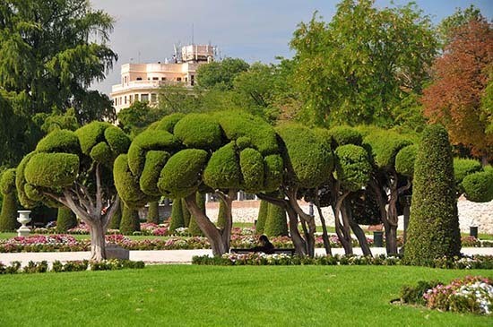 Retiro park Madrid