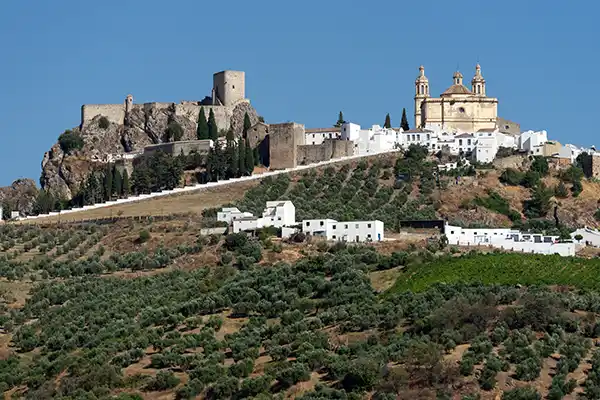 Olvera